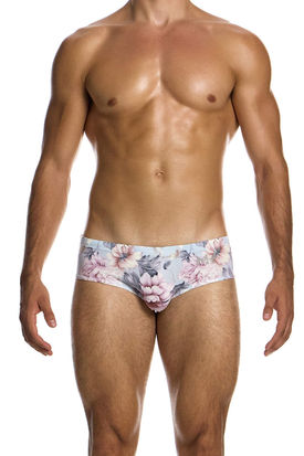 Modus Vivendi Romance Brief