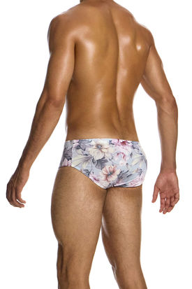 Modus Vivendi Romance Brief