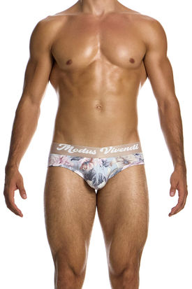 Modus Vivendi Classic Romance Brief
