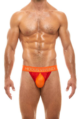 Modus Vivendi Secret Pleat Tanga Brief