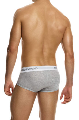 Modus Vivendi 100% Cotton Staple Fly Brief