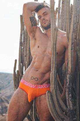 Sukrew Sorbet Apex Cotton Brief
