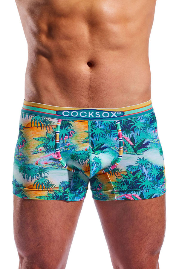 Low rise pouch boxer briefs online