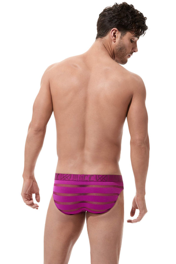 Gregg Homme Torridz Brief mens pouch underwear ultra enhancing see through slip