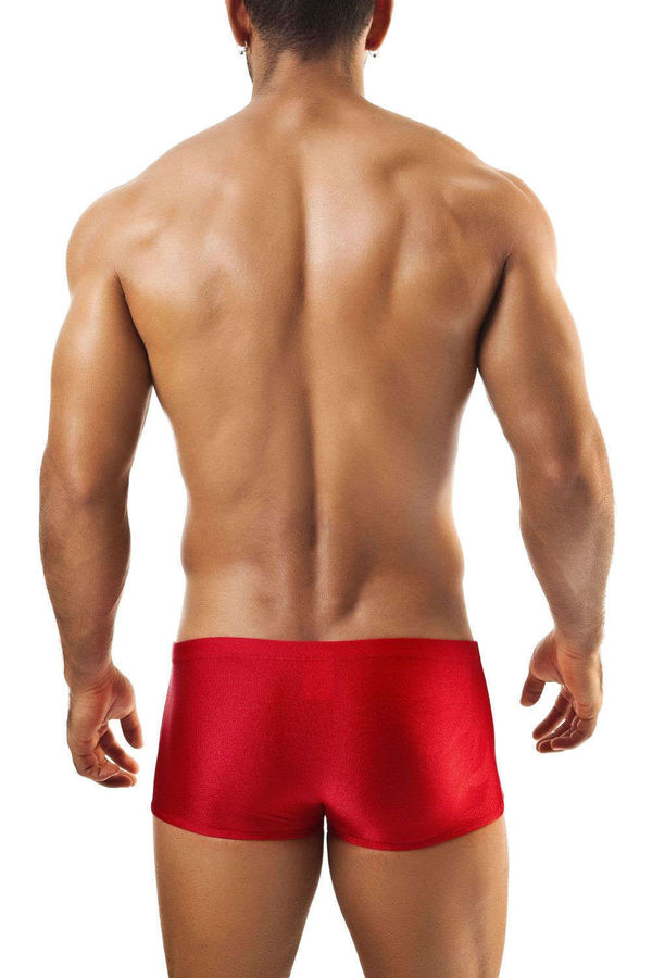Transparent mens underwear Joe Snyder Men's Shining Boxer 08 Short Sheer Mesh